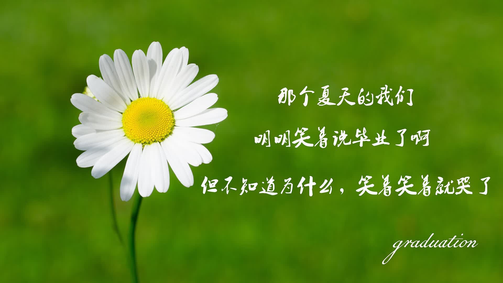 世界乒坛退役球员返乡巡讲：传承与激励并重，退役乒乓球选手